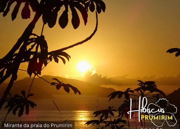 Hibiscus Prumirim Chales
